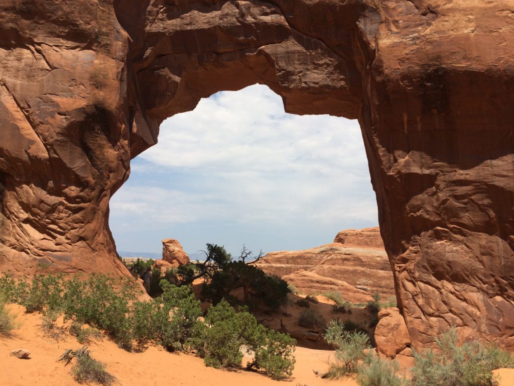 Pine Tree Arch